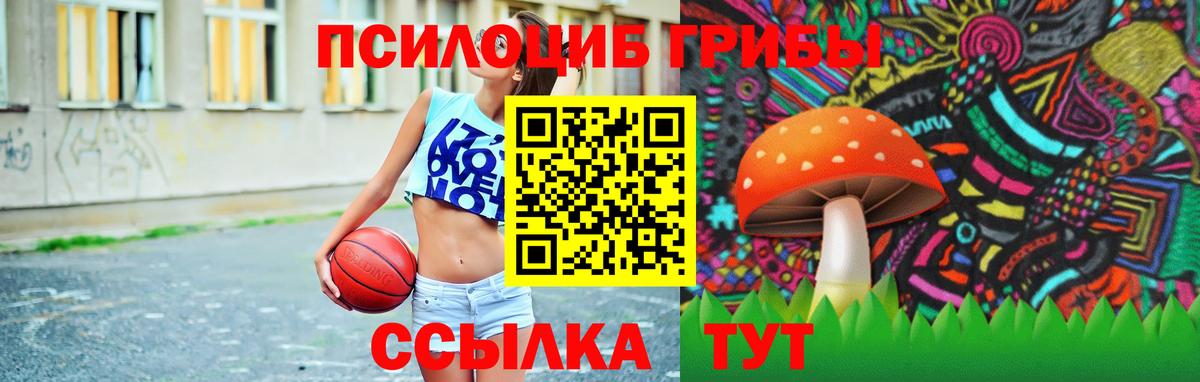 Галлюциногенные грибы ЛСД Кохма